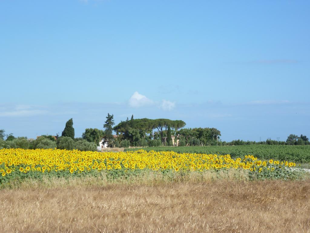 Vignarca - Localita Perelli Casa rural