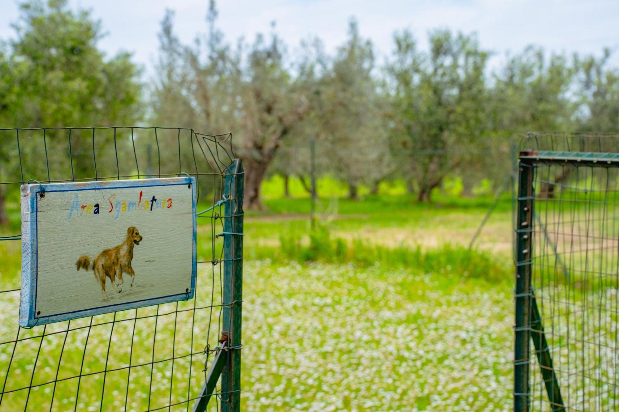 Vignarca - Localita Perelli Casa rural
