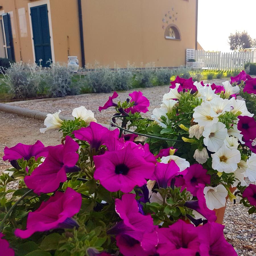 Vignarca - Localita Perelli Riotorto