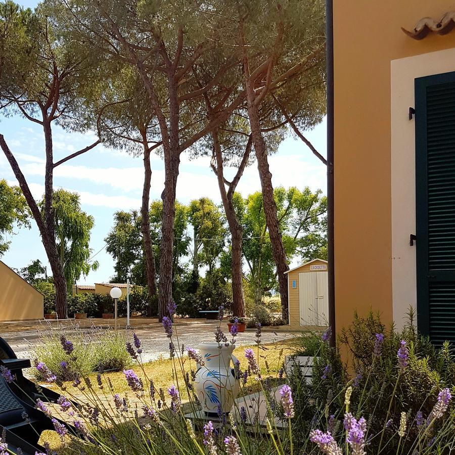 A Vignarca - Località Perelli Séjour à la campagne Riotorto